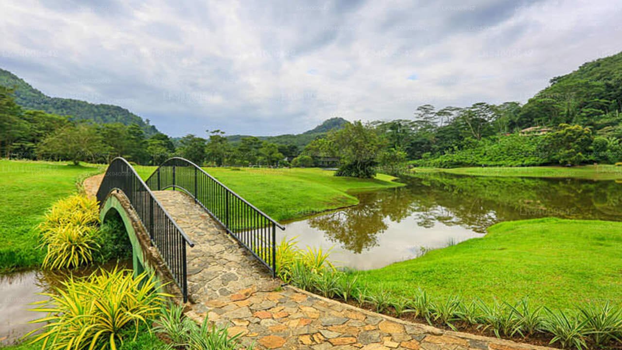 seethawaka_gardens